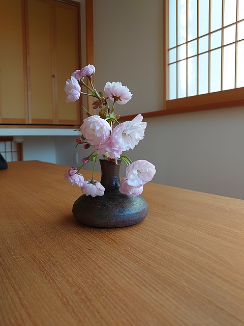 八重さくら